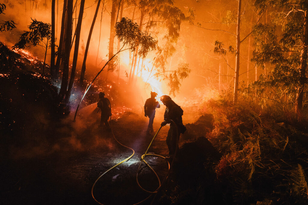 apel-la-manifestatii-impotriva-vanatorii,-in-franta,-dupa-incendiile-din-vara